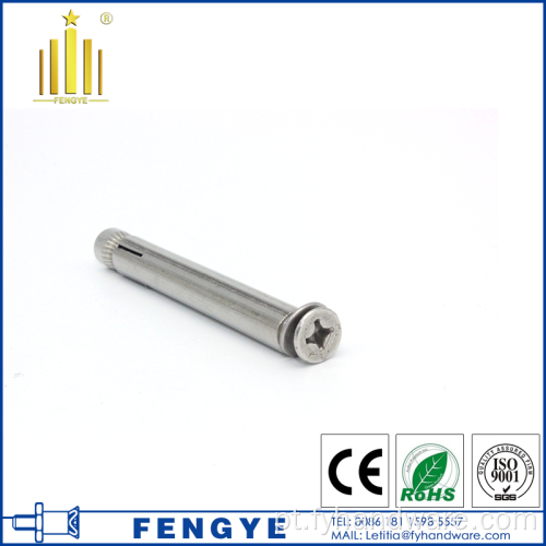 M6 Thread Blowtersunk Head Expansion Anchor Bolt